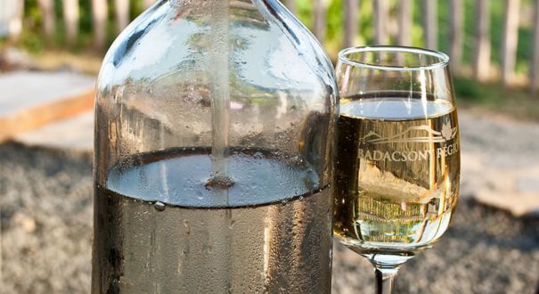 Szikvíz és a fröccs is hungarikum. Legyünk büszkék rá! - Manhertz Szikvíz - Budapest